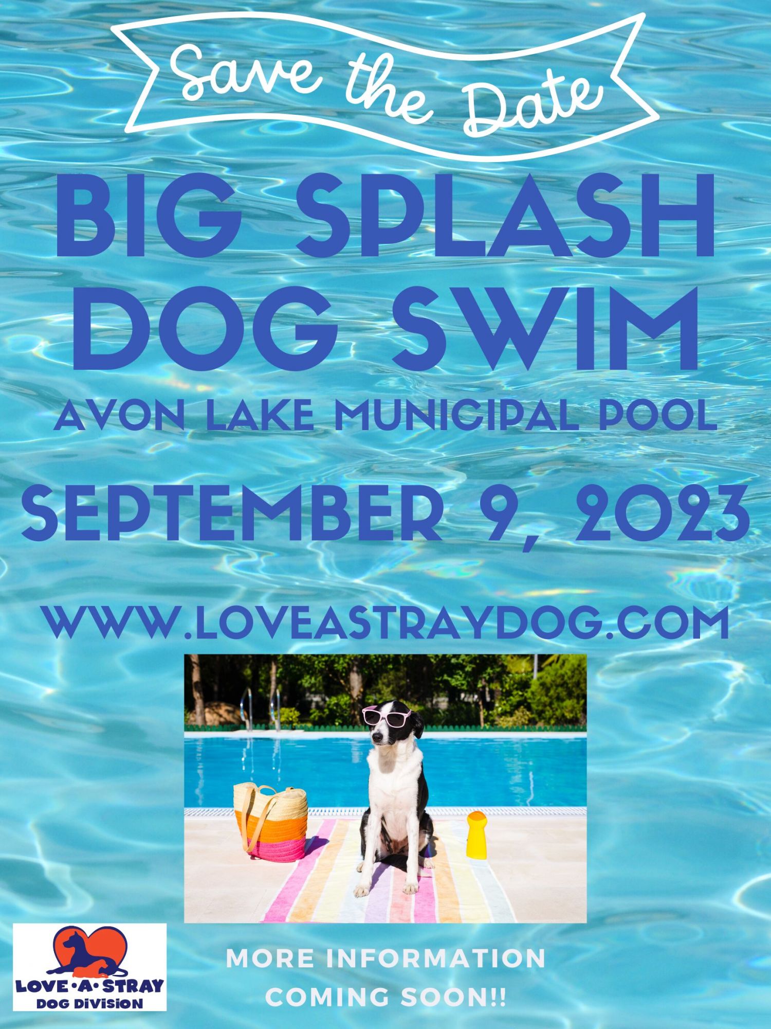 Big Splash Dog Swim Love a Stray Dog Division